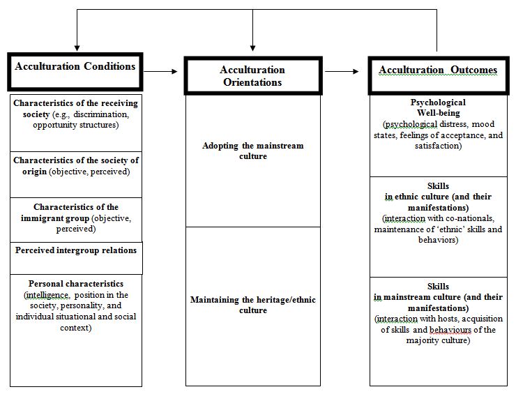 Acculturation framework