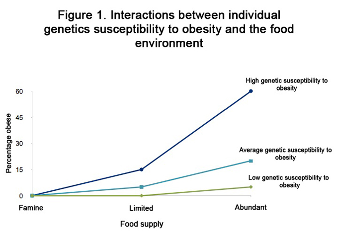 Genetic influences on child eating behaviour
