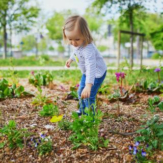 CLIMATE CHANGE AND EARLY YEARS : Children have a right to a healthy environment